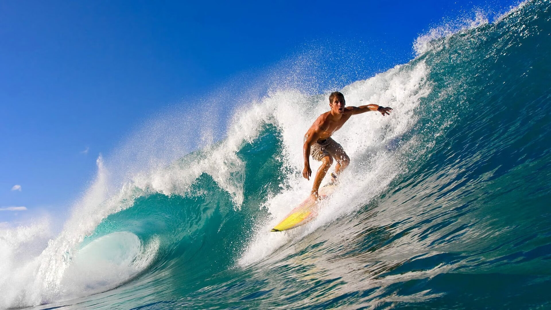 金秋赏叶骑行赛，运动中感受季节变迁，秋季骑行活动帖子